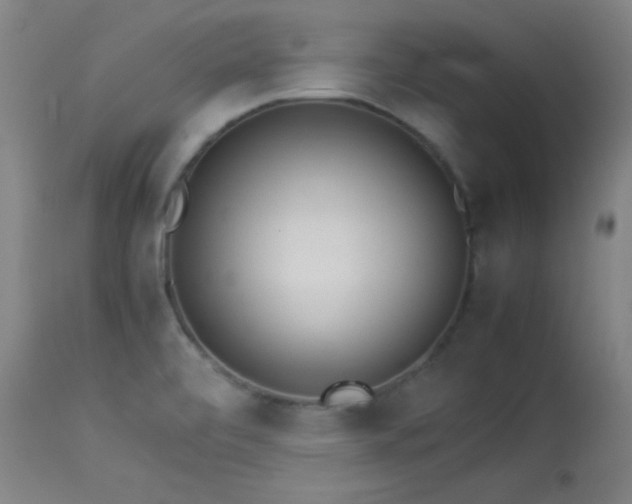 X0000114011472200910021329