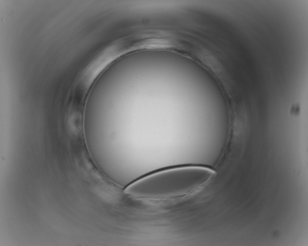 X0000114011473200910021329