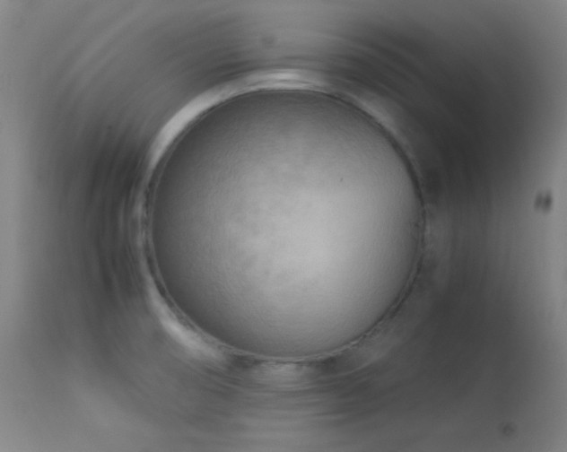 X0000114011474200910021329