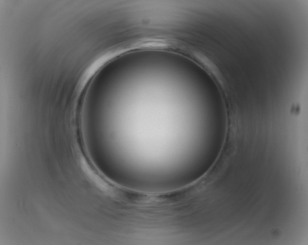X0000114011475200910021329