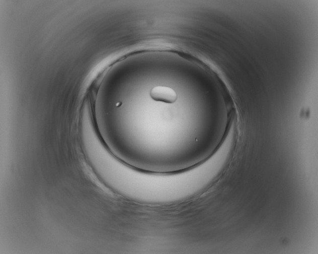 X0000114011477200910021329