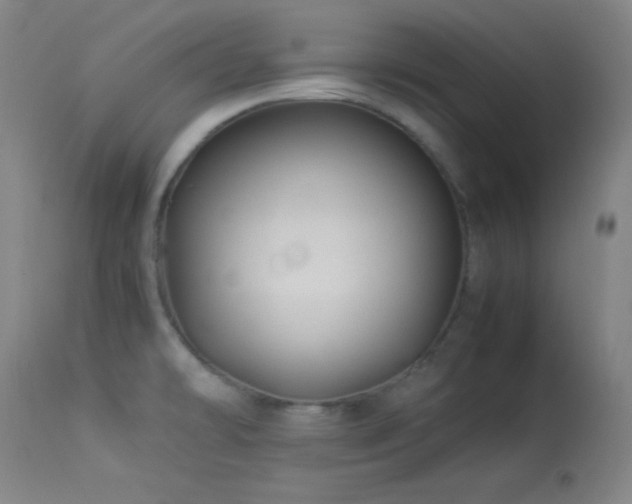 X0000114011478200910021329