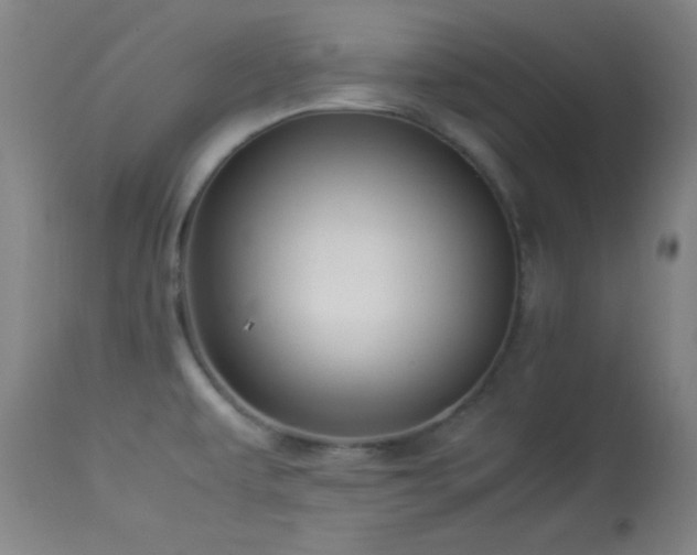 X0000114011479200910021329