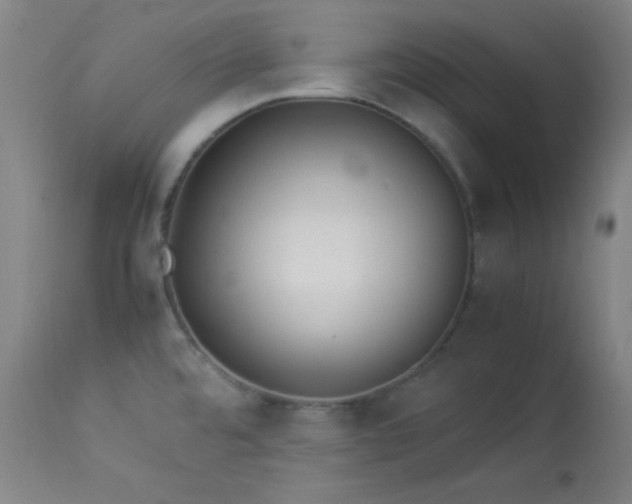 X0000114011480200910021329