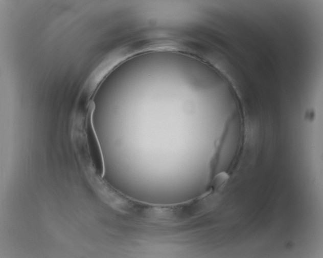 X0000114011481200910021329