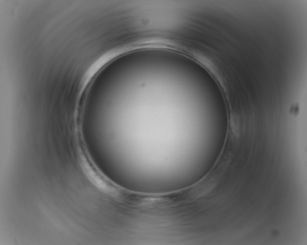 X0000114011482200910021329