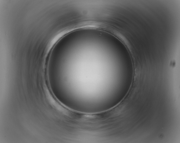 X0000114011483200910021329