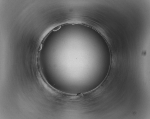 X0000114011484200910021329