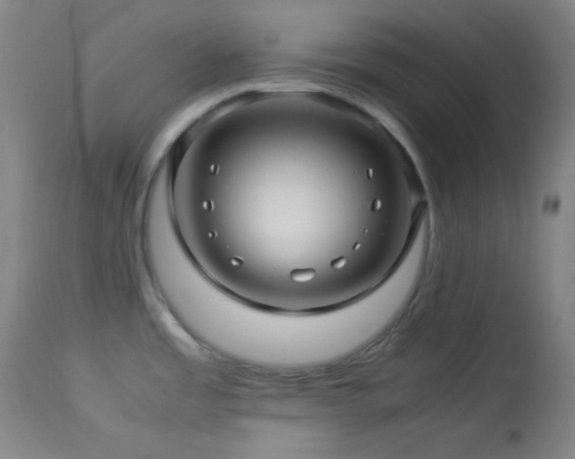 X0000114011485200910021329