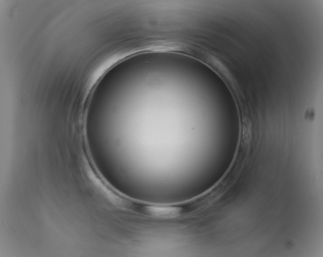 X0000114011487200910021329