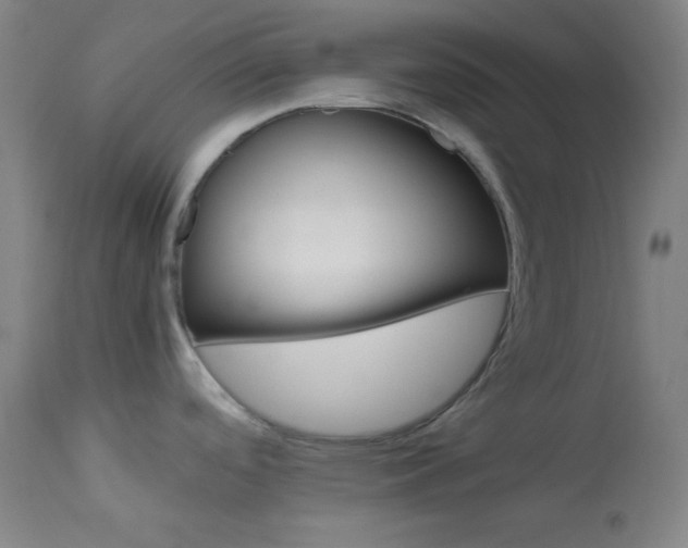 X0000114011488200910021329