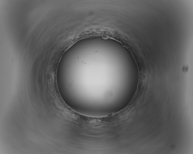 X0000114011489200910021329