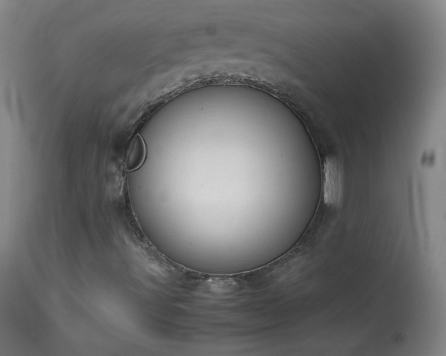 X0000114011491200910021329