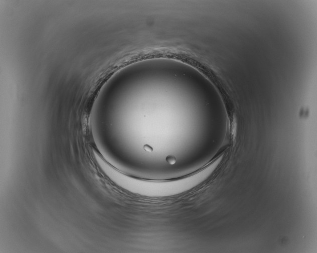 X0000114011492200910021329