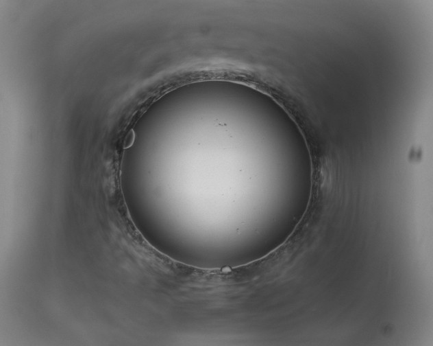 X0000114011493200910021329