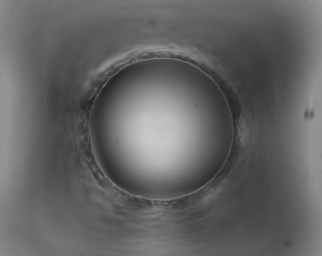 X0000114011494200910021329