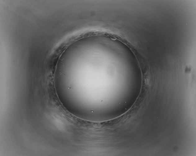 X0000114011495200910021329