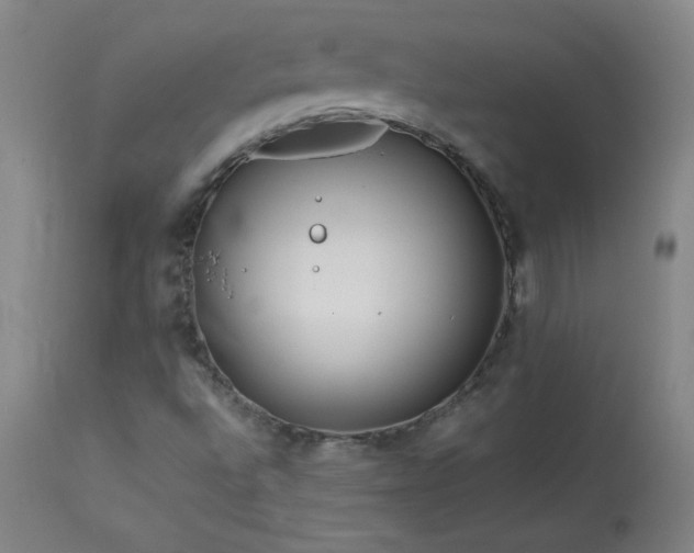 X0000114011496200910021329