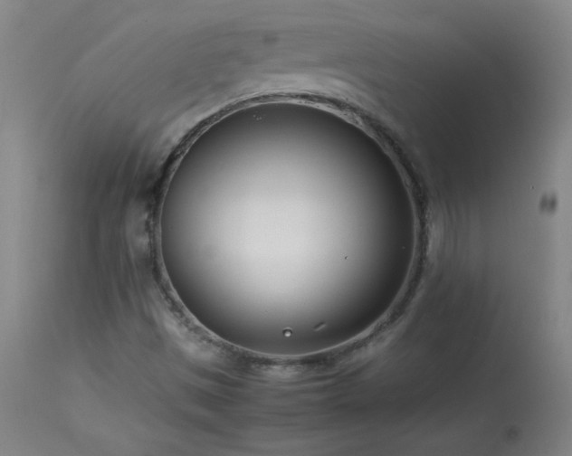X0000114011497200910021329