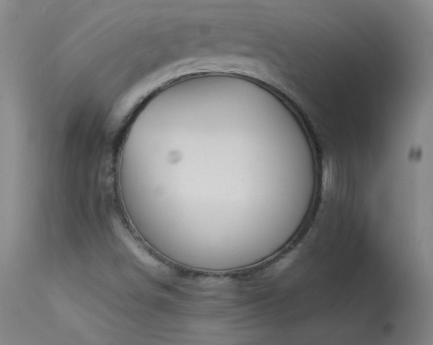 X0000114011498200910021329