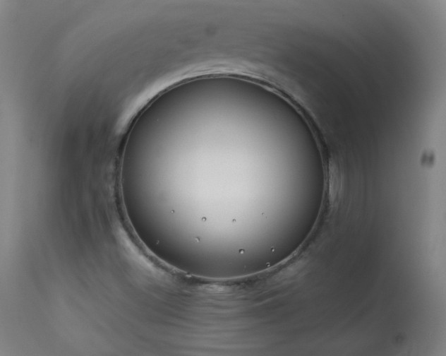 X0000114011500200910021329