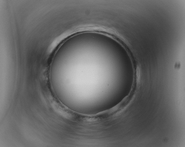 X0000114011501200910021329