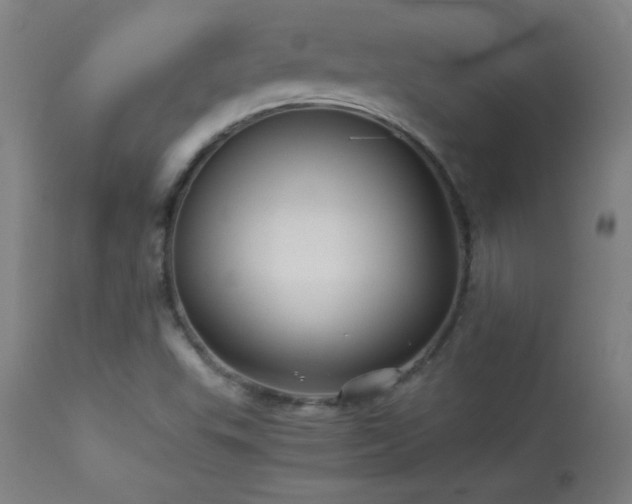 X0000114011503200910021329