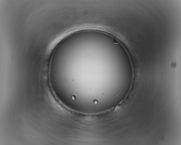 X0000114011504200910021329