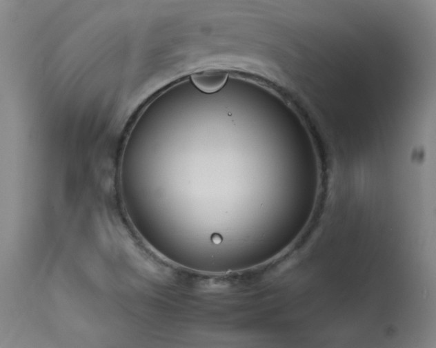 X0000114011505200910021329