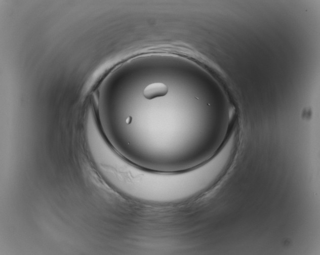 X0000114011506200910021329