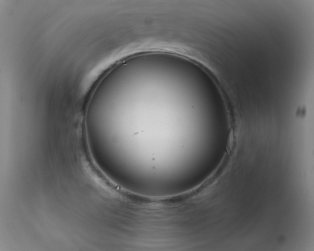 X0000114011507200910021329