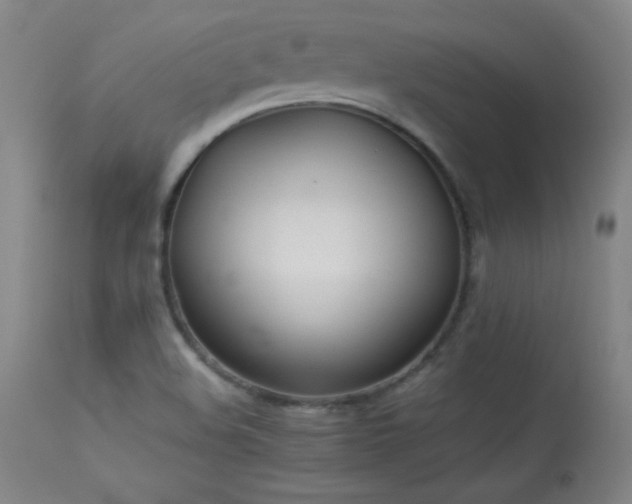 X0000114011508200910021329