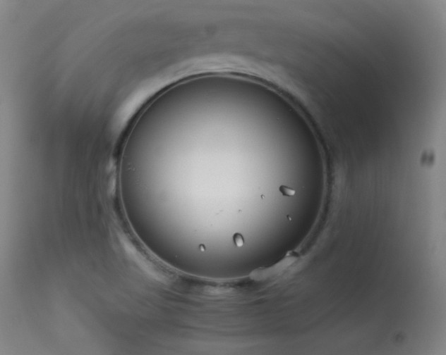 X0000114011509200910021329