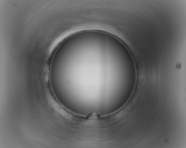 X0000114011510200910021329