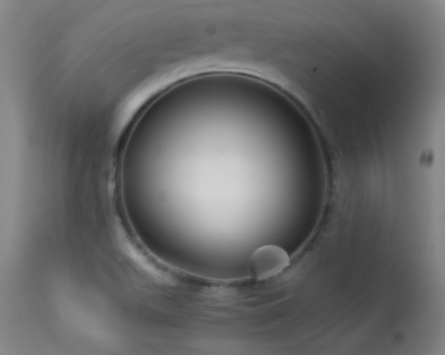 X0000114011511200910021329