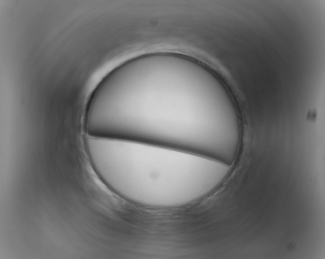 X0000114011512200910021329
