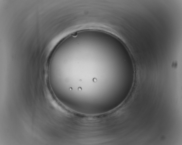 X0000114011515200910021329