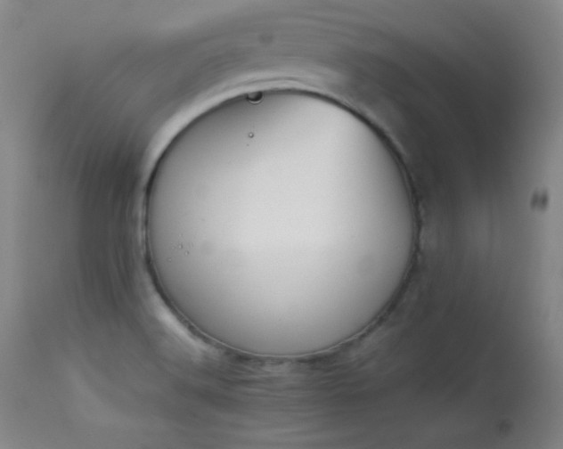 X0000114011516200910021329