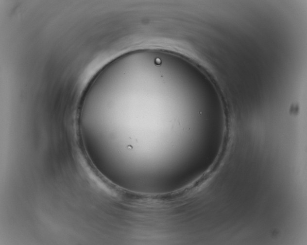 X0000114011517200910021329