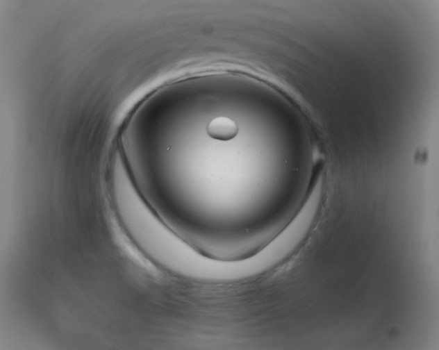 X0000114011518200910021329