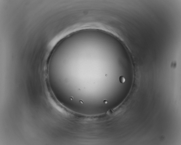 X0000114011519200910021329