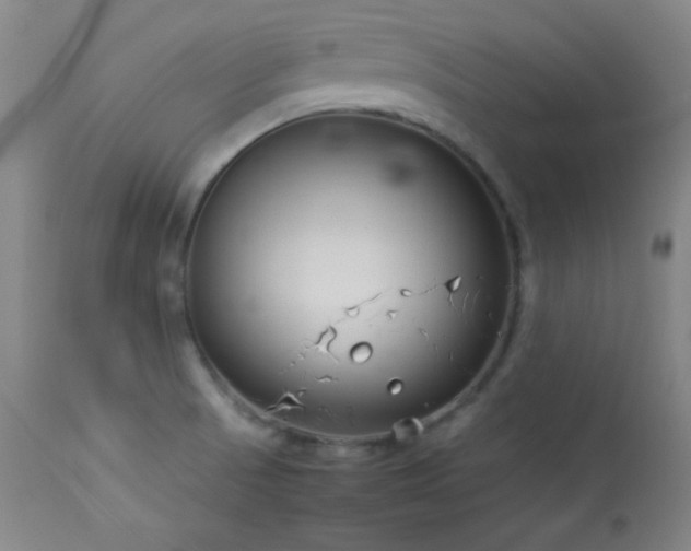 X0000114011521200910021329