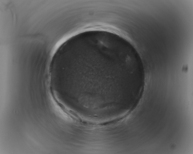 X0000114011522200910021329