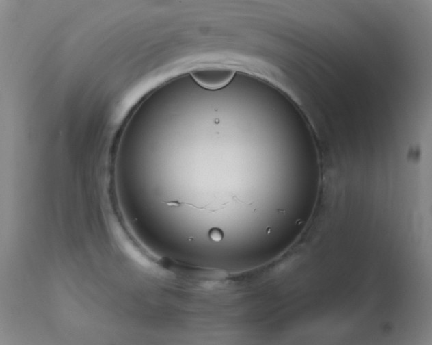 X0000114011523200910021329