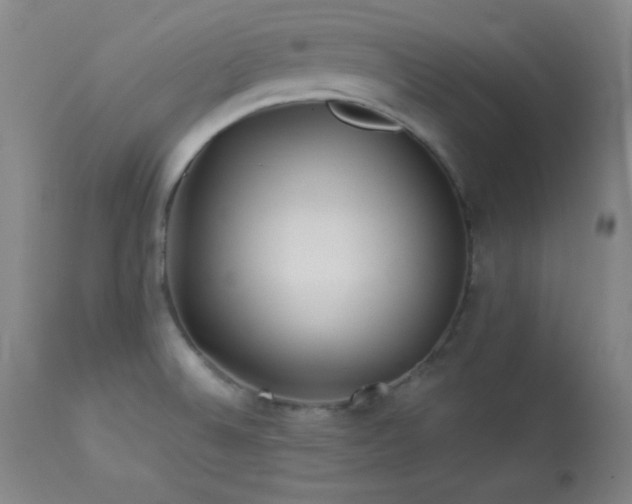 X0000114011524200910021329