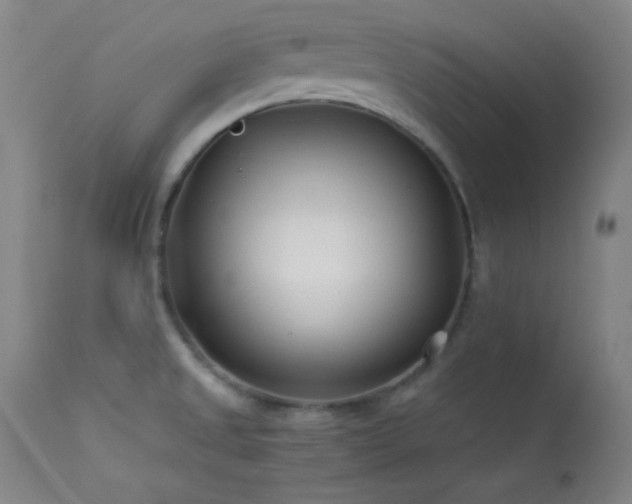 X0000114011525200910021329
