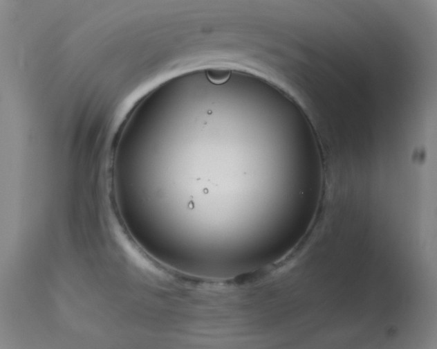 X0000114011526200910021329