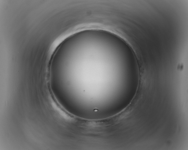 X0000114011527200910021329