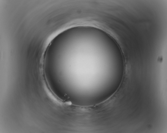 X0000114011528200910021329