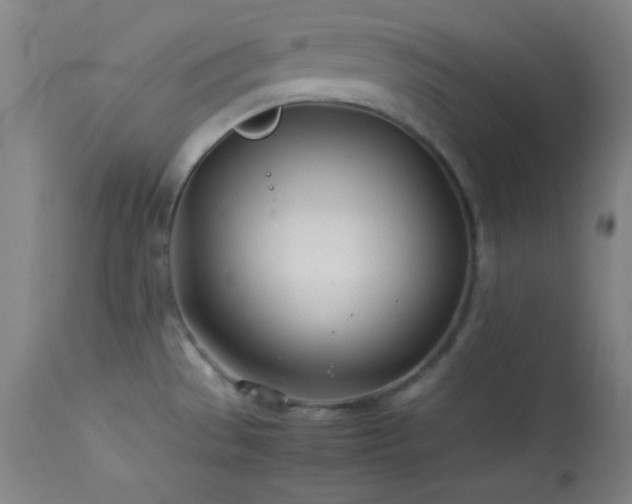 X0000114011529200910021329